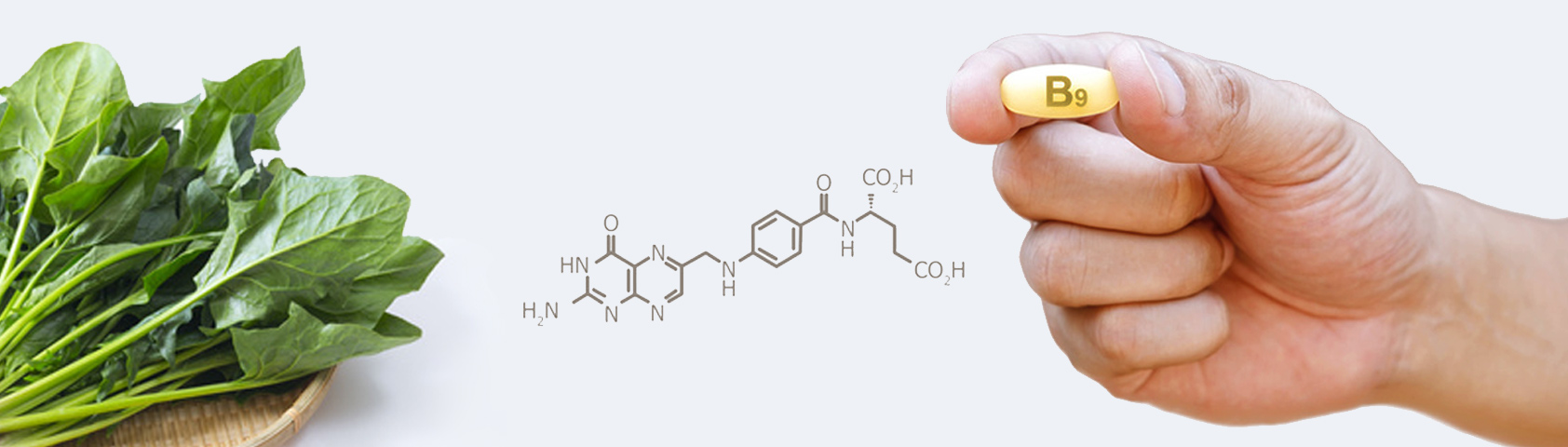 Folsäure (Vitamin B9) | Kinderwunsch - schwanger werden